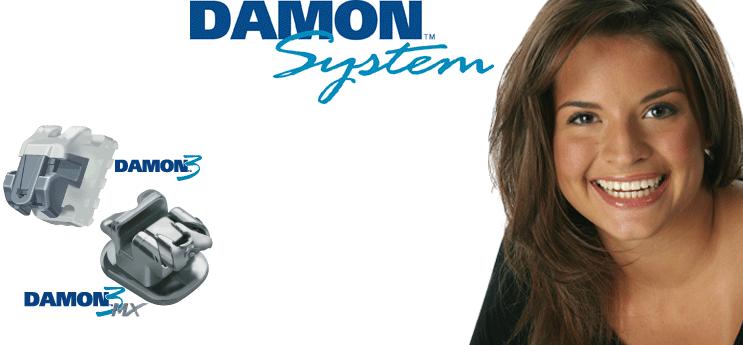 sistem-damon2